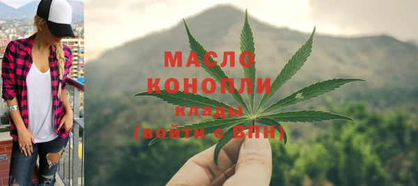 СК Алексин
