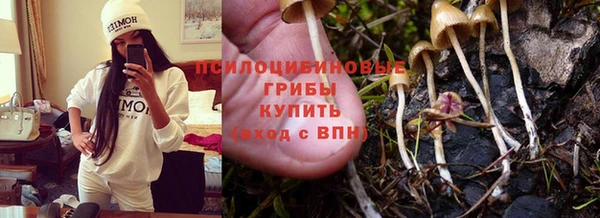 спайс Новокубанск