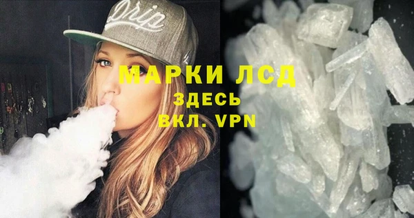 СК Алексин