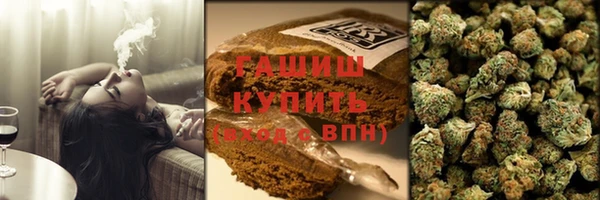 СК Алексин