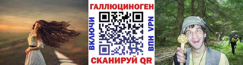 купить наркоту  Темрюк  Галлюциногенные грибы GOLDEN TEACHER 